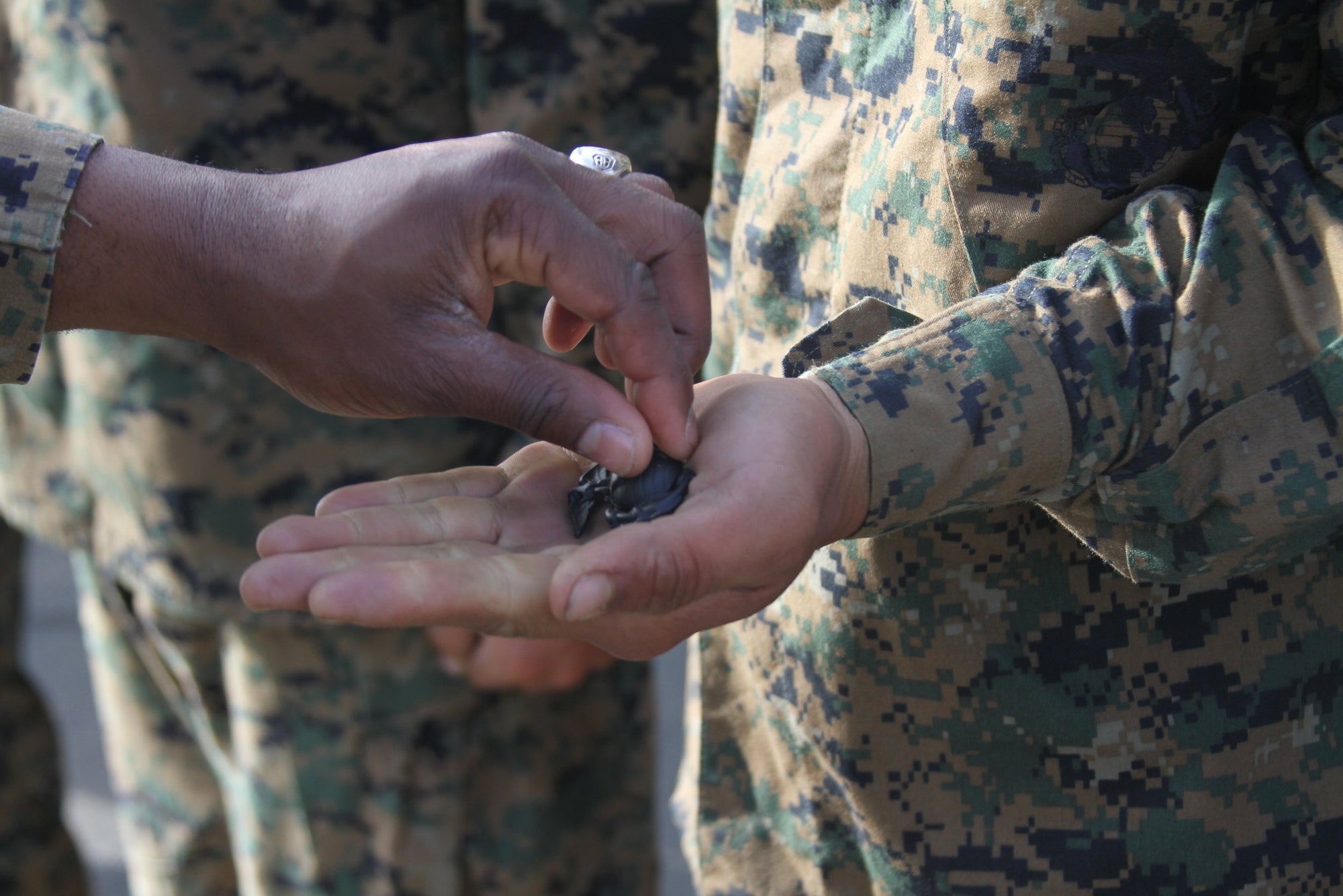 5 Things That Every Aspiring Marine Needs To Know
